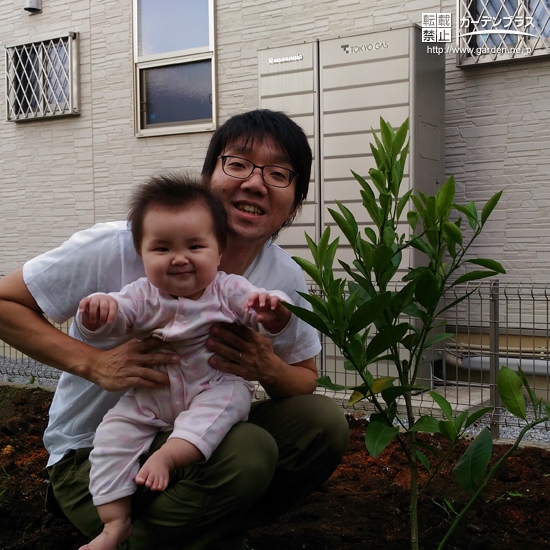 ミカンの植樹の様子