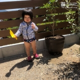キンモクセイ植樹後の様子