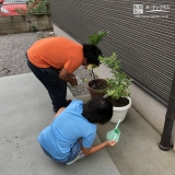 温州ミカンとブルーベリー植樹の様子②