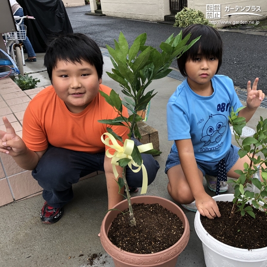 温州ミカンとブルーベリー植樹後の様子