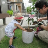 レモン植樹の様子①