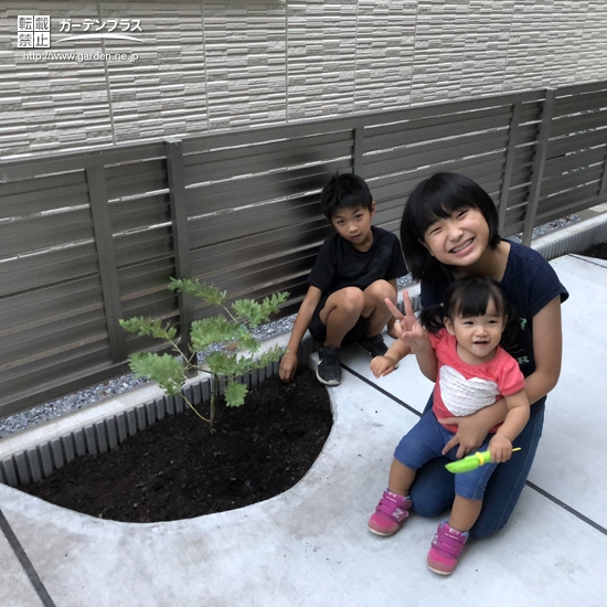 ミモザ植樹の様子