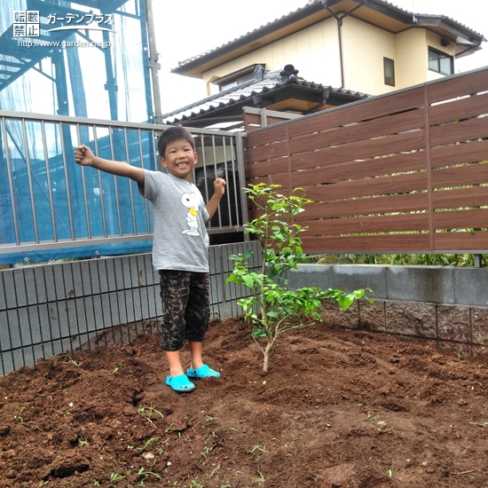 レモン植樹の様子