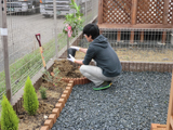 大阪府高槻市ゆずの植樹風景