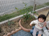 大阪府高槻市ゆずの植樹風景