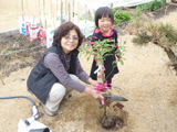 岡山県倉敷市アルプス乙女の植樹風景