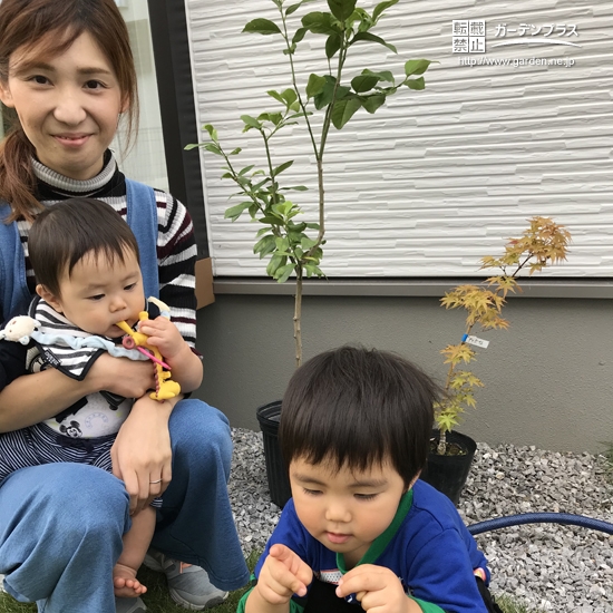 レモン植樹後のお写真