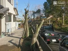 すっきり風通しのよいお庭[施工後]