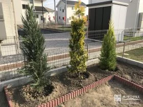 広々としたお庭に緑を添える植栽工事