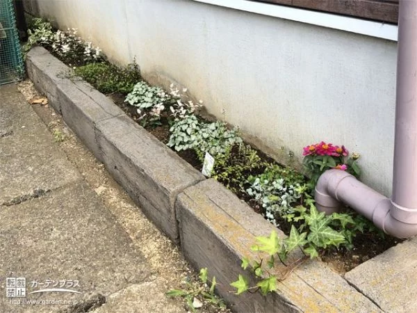 駐車スペース横の小さなスペースにもグリーンの植栽