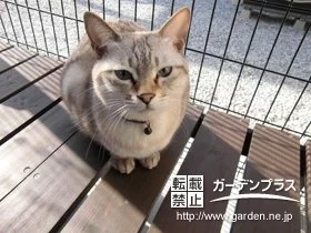 施工ポイント1