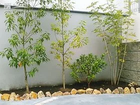 植栽を美しく際立たせる植栽スペース[施工後]