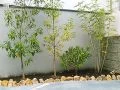 植栽を美しく際立たせる植栽スペース