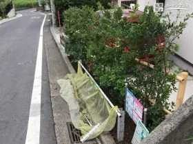 植栽による目隠し[施工後]