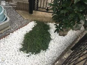 植栽を残して彩りに[施工後]