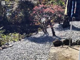 和庭園風の主庭[施工後]