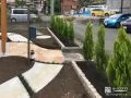 緑が爽やかな植栽や草目地