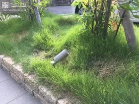 植栽スペースに照明を設置[施工後]