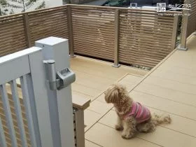 わんちゃんも安心して楽しめるウッドデッキ