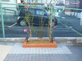 アプローチの花壇も管理できる範囲に縮小[施工後]