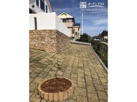 お住まいとの色彩のコントラストが楽しめるお庭[施工後]