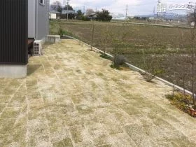 植栽まわりも天然芝を敷設[施工後]