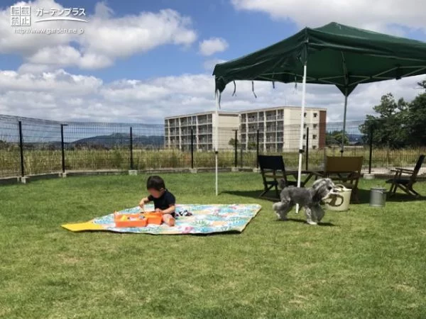 芝生の草の香りと柔らかな手触りも楽しめる主庭のリフォーム工事