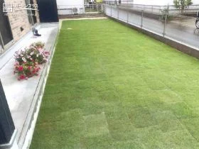 DIYで天然芝を施工されたお庭[施工後]