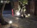 幻想的な夜のお庭