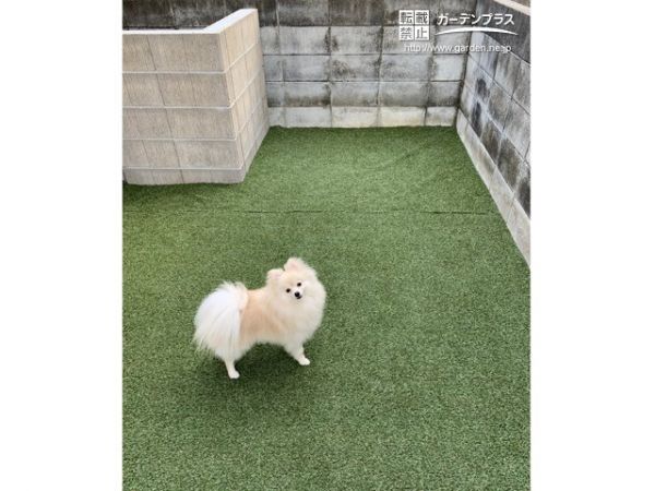 ドッグラン 人工芝の外構施工例一覧 外構工事のガーデンプラス