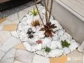 華やかな植栽スペースの足元