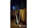 足元のスポットライトと室内の灯りで2方向から植栽を照らす