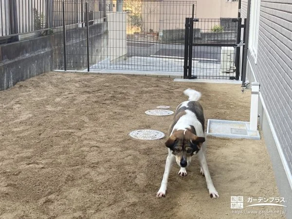 愛犬が喜ぶ自宅ドッグラン