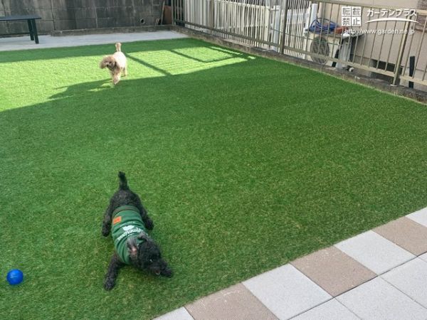 三重県の外構施工例一覧 おすすめ順 外構工事のガーデンプラス