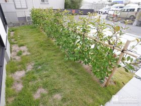 生垣の外構施工例一覧 画像表示 外構工事のガーデンプラス 生垣の外構施工例一覧 画像表示 外構工事のガーデンプラス