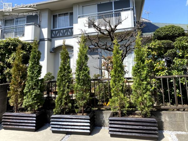 コニファーの外構施工例一覧 新着順 外構工事のガーデンプラス