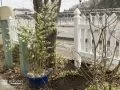 カントリー調フェンスは植栽の背景にも