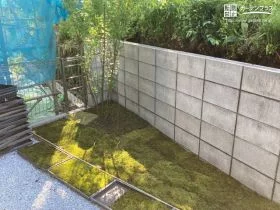 モミジを植えた植栽スペース[施工後]