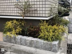 建物まわりに緑をプラスして華やかに[施工後]