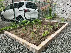 裏庭に設けた家庭菜園スペース