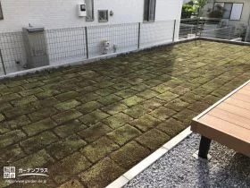 春先に二期工事として天然芝を施工[施工後]