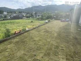 お庭は爽やかな天然芝に[施工後]