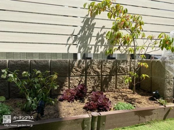 目隠しフェンスが植栽を引き立てる背景に