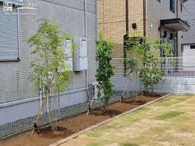 一年を通して楽しめる温かみのある植栽スペース