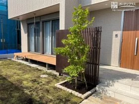 モダンな建物にも合うカエデ[施工後]