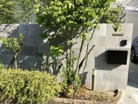 植物を引き立たせる石調タイル[施工後]