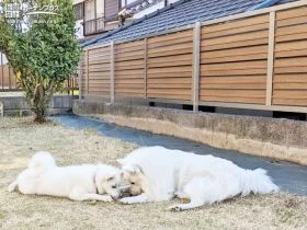 プライベート空間でわんちゃんがのびのび遊べるお庭リフォーム