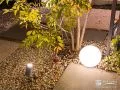 植栽のシルエットが浮かび上がらせる照明とアプローチ照明