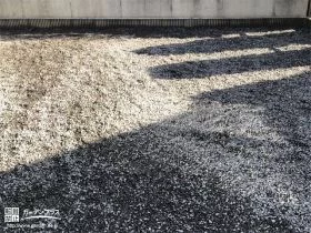 砂利を敷設した主庭[施工後]