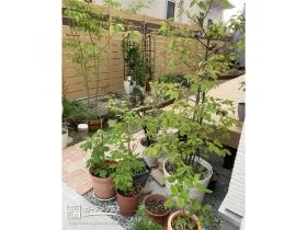 植栽豊かなお庭に[施工後]